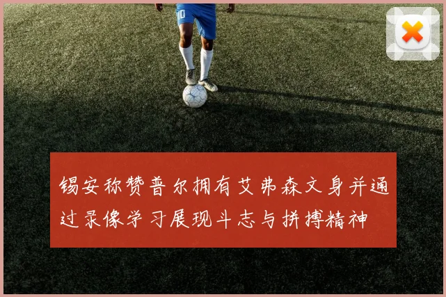 锡安称赞普尔拥有艾弗森文身并通过录像学习展现斗志与拼搏精神